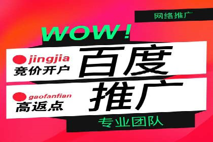 案例分析：SEM广告助力电商行业突破